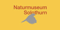 naturmuseum-solothurn.jpg